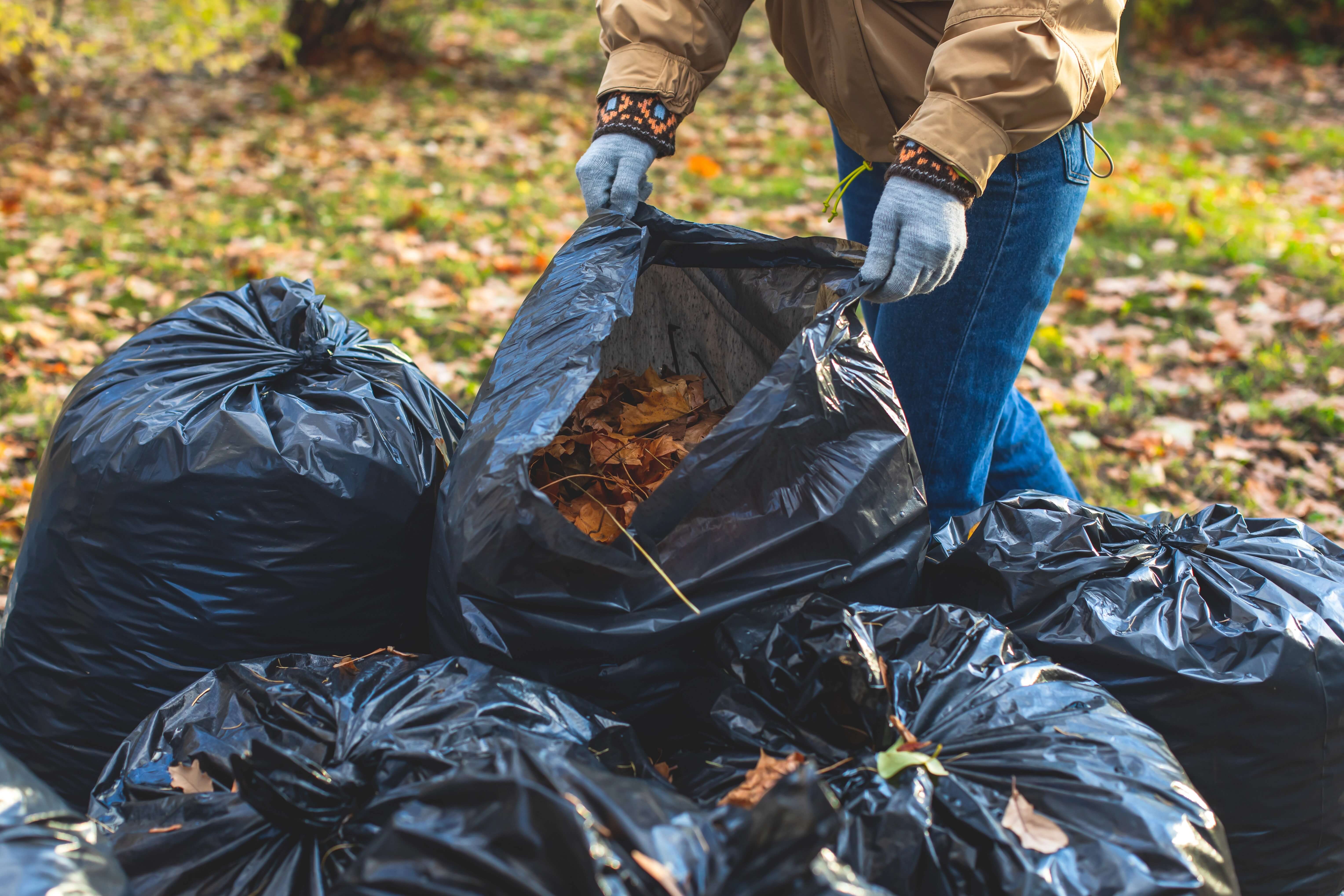 Helping with yardwork